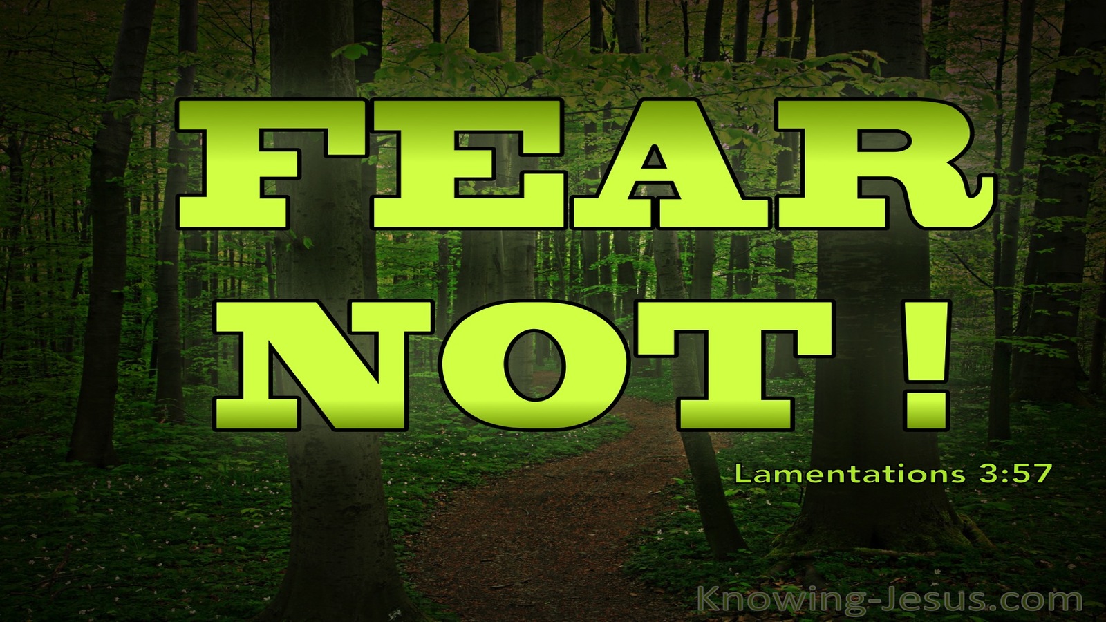 Lamentations 3:57 You Drew Near And Said Fear Not (green)
